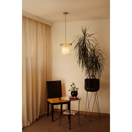 Brilagi - Lampadario a sospensione con filo FOREST 1xE27/15W/230V pino/marrone/color crema