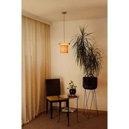 Brilagi - Lampadario a sospensione con filo FOREST 1xE27/15W/230V pino/marrone