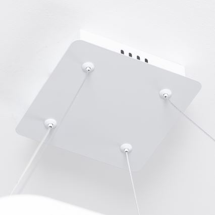 Brilagi - Lampadario LED dimmerabile a cavo FALCON SLIM LED/50W/230V 3000-6500K 50x50 cm bianco + telecomando