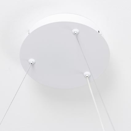 Brilagi - Lampadario LED dimmerabile a sospensione con cavo FALCON SLIM LED/42W/230V 3000-6500K Ø 50 cm bianco + telecomando