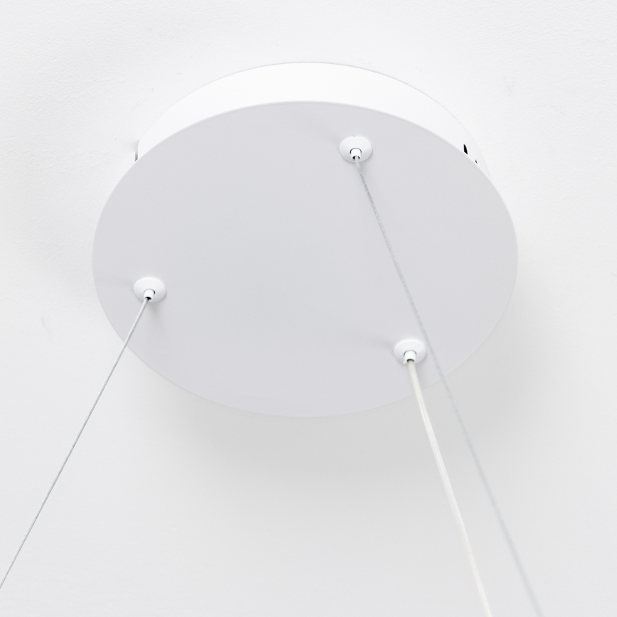 Brilagi - Lampadario LED dimmerabile a sospensione con cavo FALCON SLIM LED/42W/230V 3000-6500K Ø 50 cm bianco + telecomando