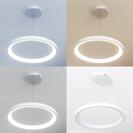 Brilagi - Lampadario LED dimmerabile a sospensione con cavo FALCON SLIM LED/42W/230V 3000-6500K Ø 50 cm bianco + telecomando