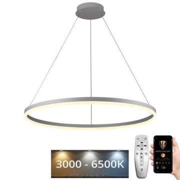 Brilagi - Lampadario a sospensione dimmerabile su cavo CIRCLE LED/55W/230V 3000-6500K Ø 80 cm bianco + telecomando