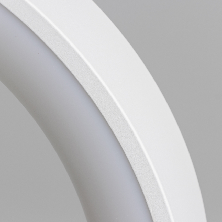 Brilagi - LED Lampadario dimmerabile su cavo FALCON LED/80W/230V 3000-6500K Ø 60 cm bianco + telecomando