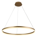 Brilagi - Lampadario a sospensione LED dimmerabile su cavo CIRCLE LED/55W/230V 3000-6500K Ø 80 cm dorato + telecomando