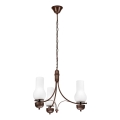 Brilagi - Lampadario LED a catena COTTAGE 3xE14/40W/230V faggio/marrone/bianco