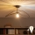 Brilagi - Lampadario LED a plafone CERIA WIRE 1xE27/60W/230V 40x56 cm nero/bronzo
