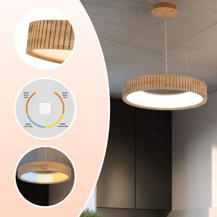 Brilagi - Lampadario LED a sospensione su cavo FALCON WOOD MODERN LED/30W/230V 3000/4000/6000K Ø 45 cm legno