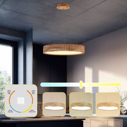 Brilagi - Lampadario LED a sospensione su cavo FALCON WOOD MODERN LED/30W/230V 3000/4000/6000K Ø 45 cm legno