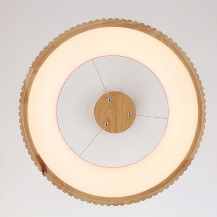 Brilagi - Lampadario LED a sospensione su cavo FALCON WOOD MODERN LED/30W/230V 3000/4000/6000K Ø 45 cm legno