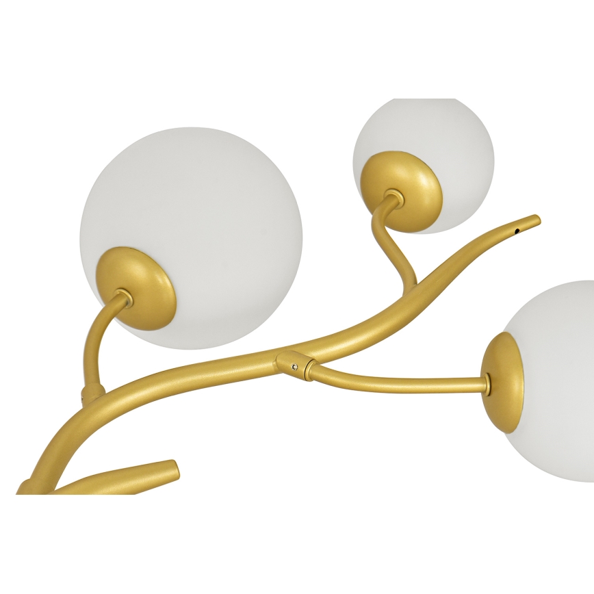 Brilagi - Lampadario LED a sospensione con filo MISTEL 6xG9/3W/230V oro/bianco