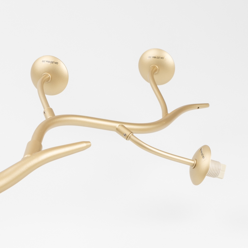 Brilagi - Lampadario LED a sospensione con filo MISTEL 6xG9/3W/230V oro