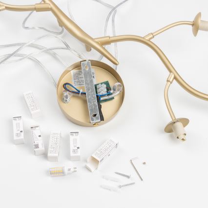 Brilagi - Lampadario LED a sospensione con filo MISTEL 6xG9/3W/230V oro