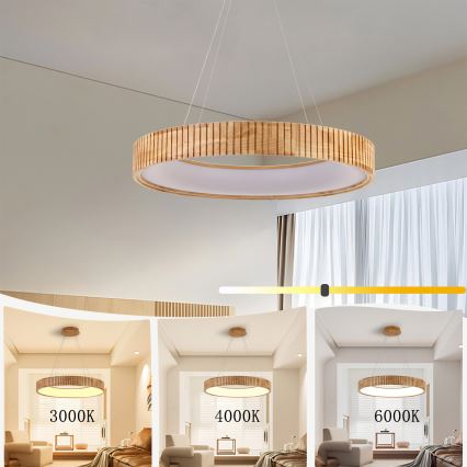 Brilagi - Lampadario LED a sospensione con cavo FALCON WOOD MODERN LED/40W/230V 3000/4000/6000K Ø 60 cm in legno