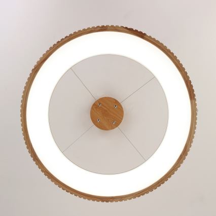 Brilagi - Lampadario LED a sospensione con cavo FALCON WOOD MODERN LED/40W/230V 3000/4000/6000K Ø 60 cm in legno