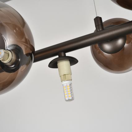 Brilagi - Lampadario LED a sospensione su cavo MILLA 10xG9/3W/230V marrone/marrone fumé