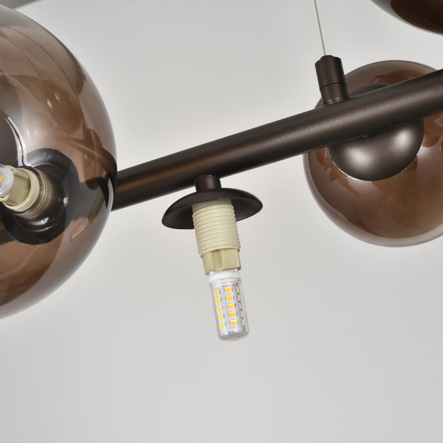Brilagi - Lampadario LED a sospensione su cavo MILLA 10xG9/3W/230V marrone/marrone fumé