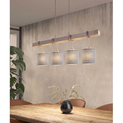 Brilagi - Lampadario LED a sospensione su cavo NUBILA 4xE27/60W/230V grigio