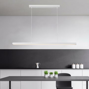 Brilagi - Lampadario LED a sospensione su cavo PAXIS LED/30W/230V 120 cm bianco