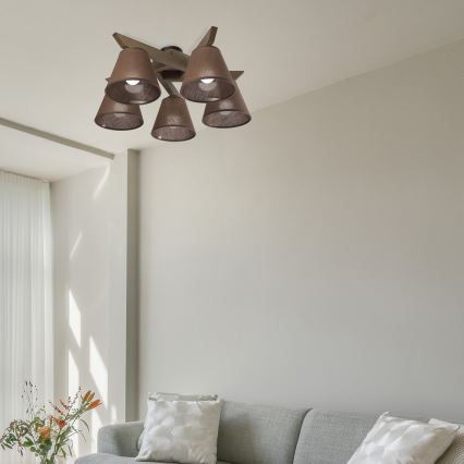 Brilagi - Lampadario LED a plafone ANTHONY 5xE14/40W/230V rovere noce/marrone