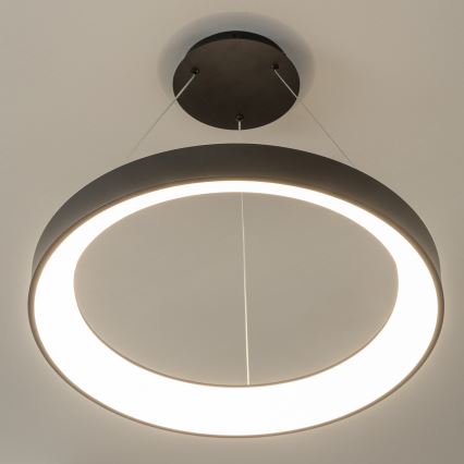 Brilagi - Lampadario LED dimmerabile a cavi FALCON II LED/99W/230V 3000-6500K Ø 60 cm nero + telecomando