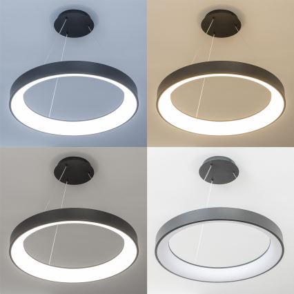 Brilagi - Lampadario LED dimmerabile a cavo FALCON II LED/99W/230V 3000-6500K Ø 60 cm nero + telecomando