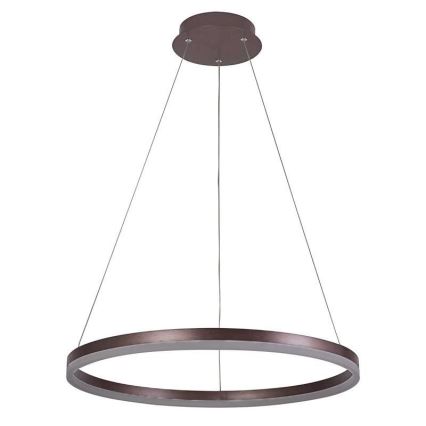 Brilagi - Lampadario LED dimmerabile a sospensione CIRCLE LED/42W/230V 3000-6500K Ø 60 cm marrone + telecomando