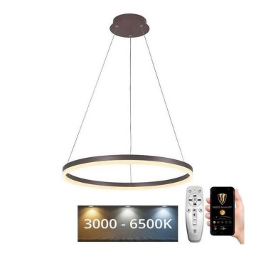 BRILAGI - Lampadario LED dimmerabile a sospensione con cavo CIRCLE LED/42W/230V 3000-6500K Ø 60 cm marrone + telecomando