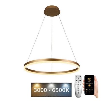 Brilagi - Lampadario LED dimmerabile a sospensione con cavo CIRCLE LED/42W/230V 3000-6500K Ø 60 cm + telecomando