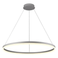 Brilagi - Lampadario LED dimmerabile a sospensione con cavo CIRCLE LED/55W/230V 3000-6500K Ø 80 cm argento + telecomando