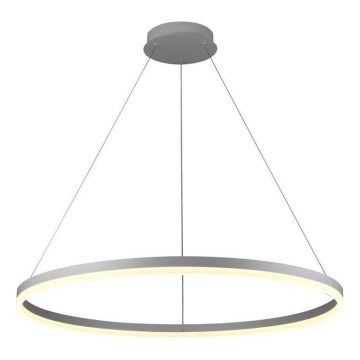 Brilagi - Lampadario LED dimmerabile a sospensione con cavo CIRCLE LED/55W/230V 3000-6500K Ø 80 cm argento + telecomando