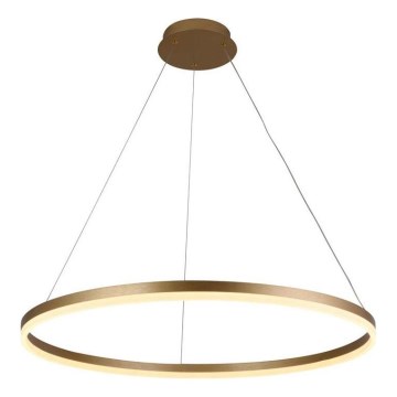 Brilagi - Lampadario LED dimmerabile a sospensione con cavo CIRCLE LED/55W/230V 3000-6500K Ø 80 cm finitura oro + telecomando