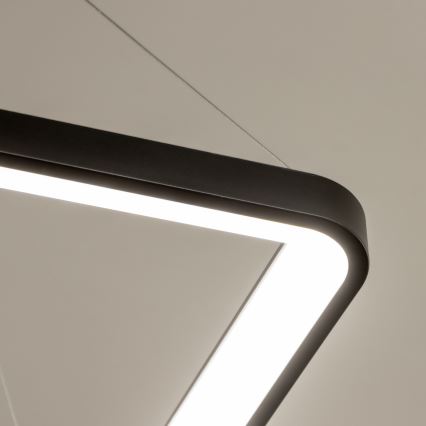 Brilagi - LED lampadario sospeso dimmerabile con cavo FALCON SLIM LED/50W/230V 3000-6500K 50x50 cm nero + telecomando