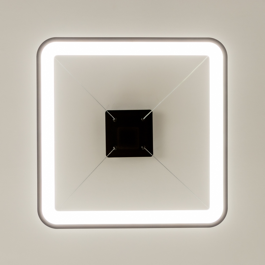 Brilagi - LED lampadario sospeso dimmerabile con cavo FALCON SLIM LED/50W/230V 3000-6500K 50x50 cm nero + telecomando