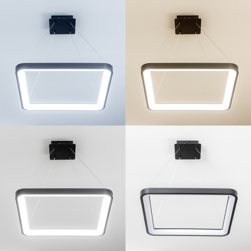 Brilagi - LED lampadario sospeso dimmerabile con cavo FALCON SLIM LED/50W/230V 3000-6500K 50x50 cm nero + telecomando