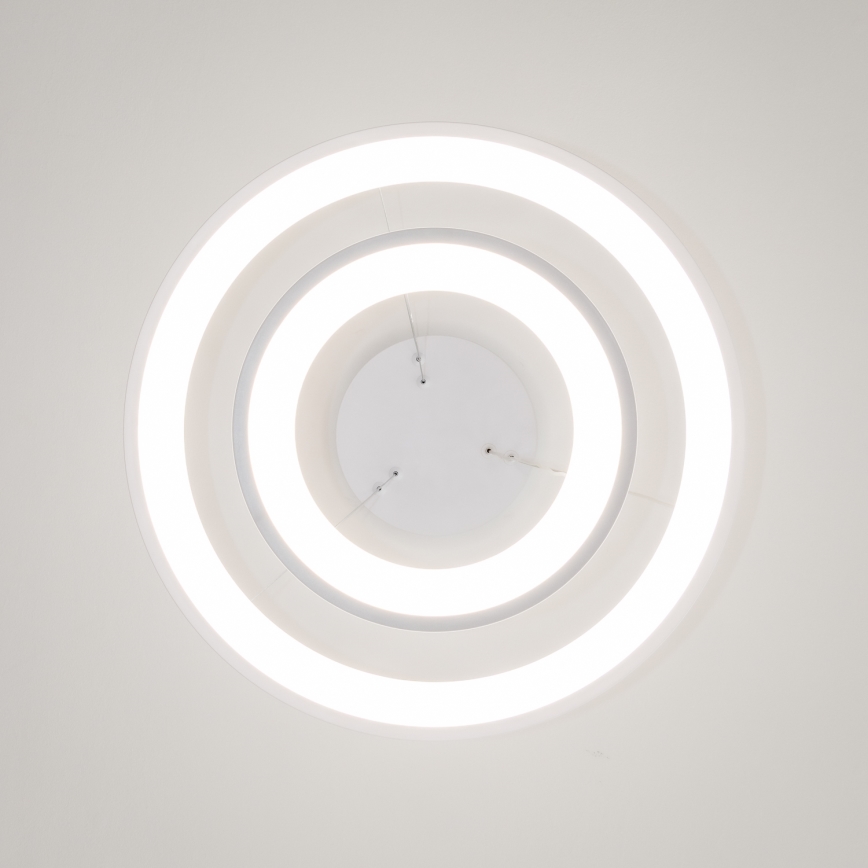 Brilagi - Lampadario LED dimmerabile a sospensione con cavo FALCON SLIM LED/68W/230V 3000-6500K Ø 50 cm bianco + telecomando