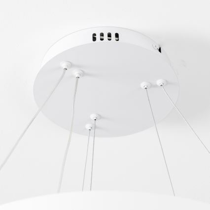 Brilagi - Lampadario LED dimmerabile a sospensione con cavo FALCON SLIM LED/68W/230V 3000-6500K Ø 50 cm bianco + telecomando