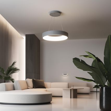 Brilagi - Lampadario LED dimmerabile sospeso con cavo FALCON LED/40W/230V 3000-6500K Ø 45 cm grigio + telecomando
