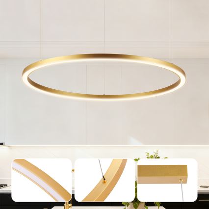 Brilagi - Lampadario LED dimmerabile sospeso su cavo PORTOFINO LED/60W/230V 3000-6000K Ø 80 cm dorato + telecomando