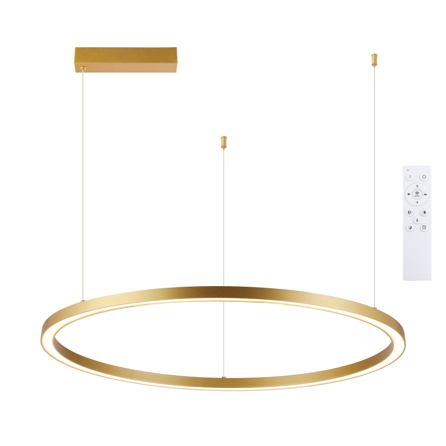Brilagi - Lampadario LED dimmerabile sospeso su cavo PORTOFINO LED/60W/230V 3000-6000K Ø 80 cm dorato + telecomando