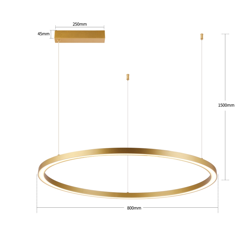 Brilagi - Lampadario LED dimmerabile sospeso su cavo PORTOFINO LED/60W/230V 3000-6000K Ø 80 cm dorato + telecomando