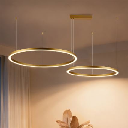 Brilagi - Lampadario LED dimmerabile sospeso a cavo PORTOFINO LED/98W/230V 3000-6000K oro + telecomando