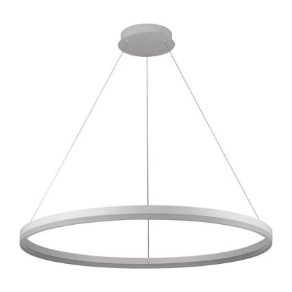 Brilagi - Lampada a sospensione LED dimmerabile su cavo CIRCLE LED/55W/230V 3000-6500K + telecomando