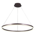Brilagi - Lampadario LED dimmerabile a sospensione su cavo CIRCLE LED/55W/230V 3000-6500K Ø 80 cm marrone + telecomando