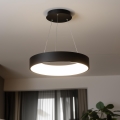 Brilagi - Lampadario LED dimmerabile a sospensione su cavo FALCON LED/80W/230V 3000-6500K Ø 60 cm nero + telecomando