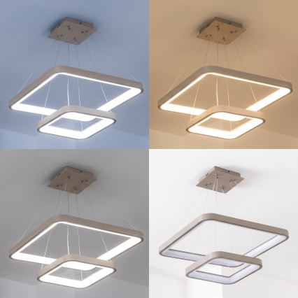 BRILAGI - LED lampadario dimmerabile a sospensione con cavo FALCON SLIM LED/78W/230V 3000-6500K 50x50 cm beige + telecomando