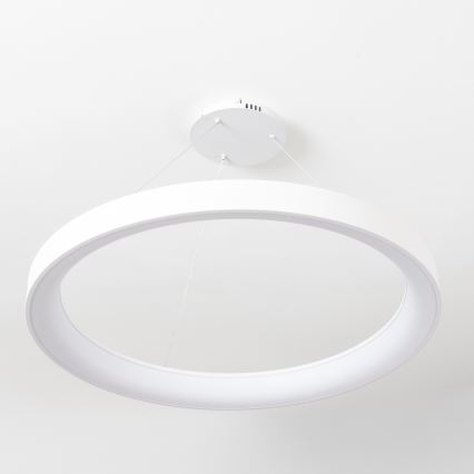 Brilagi - Lampadario LED dimmerabile a cavo FALCON II LED/108W/230V 3000-6500K diam. 80 cm bianco + telecomando