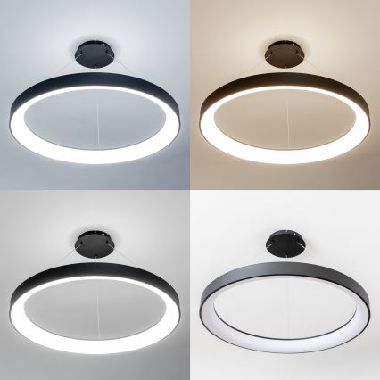 Brilagi - Lampadario LED dimmerabile a sospensione su cavo FALCON II LED/108W/230V 3000-6500K diam. 80 cm nero + telecomando