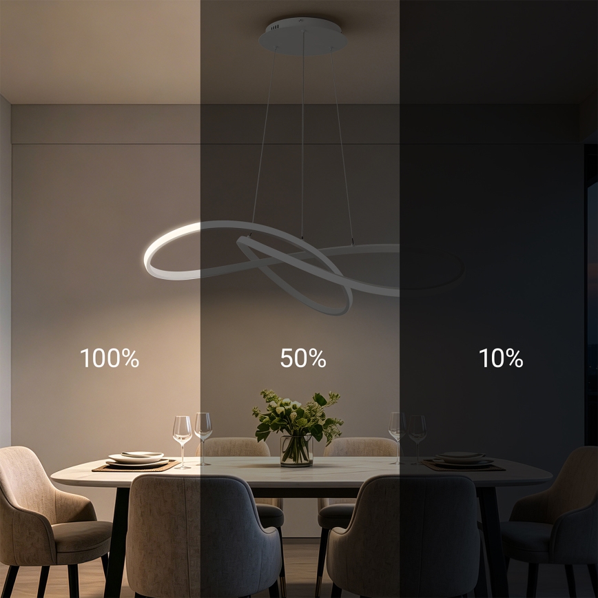 Brilagi - Lampadario LED dimmerabile su cavo INFINITY LED/80W/230V 3000-6000K 80x80 cm bianco + telecomando
