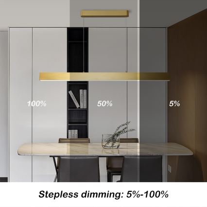 Brilagi - Lampadario a sospensione con filo LED dimmerabile SLEEKLINE SMART LED/40W/230V 3000-6000K Wi-Fi Tuya oro + telecomando